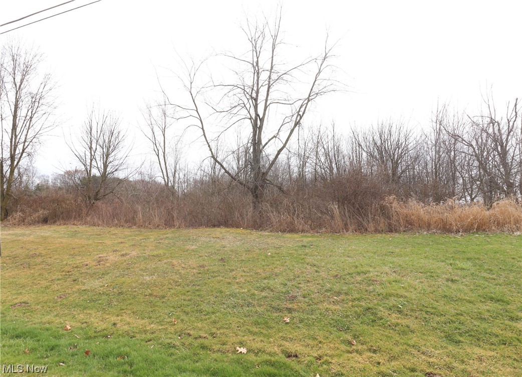 East Steiner Road Creston, OH 44217 - Photo 2 of 2 View from the Road