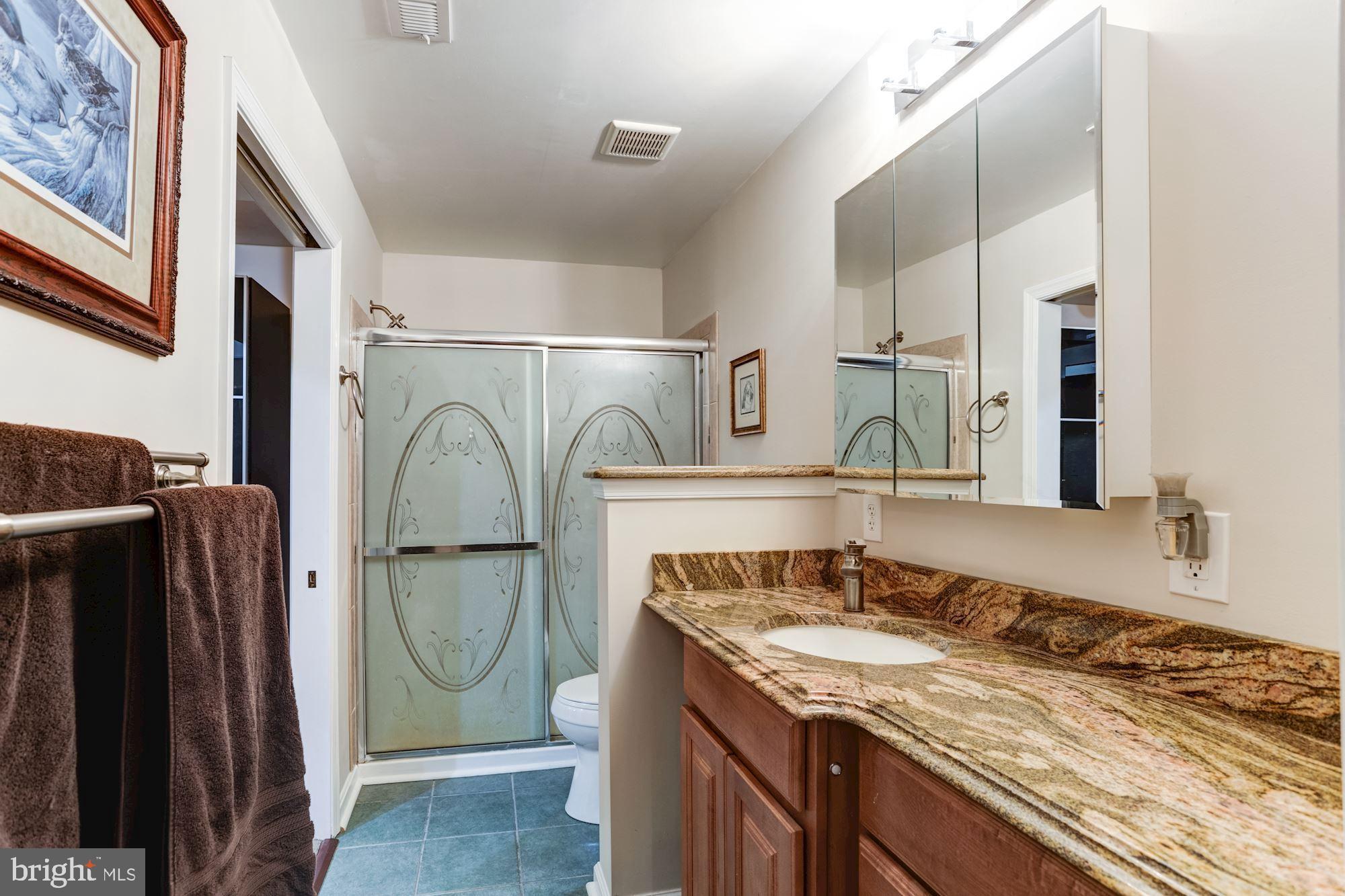 605 Havenhill Road Edgewater, MD 21037 - Photo 46 of 62 Guest Suite full bathroom with dual entry