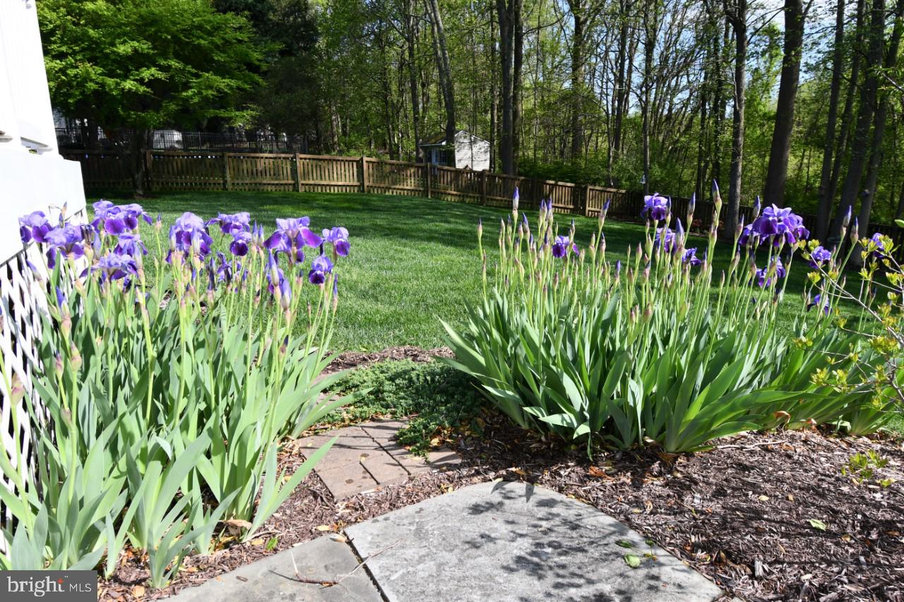 605 Havenhill Road Edgewater, MD 21037 - Photo 57 of 62 Gallery Image 57