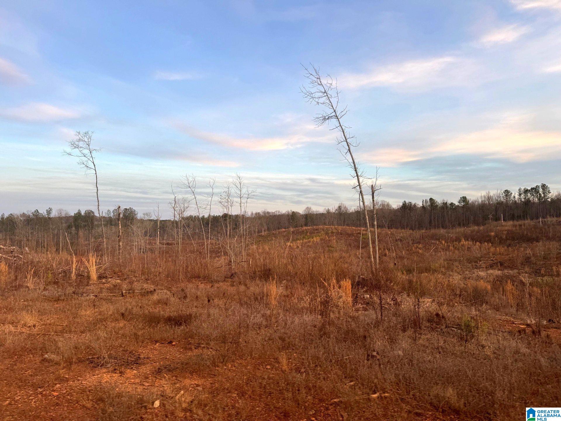 Walker Road, Unit 103 5 Lineville, AL 36266 - Photo 3 of 26