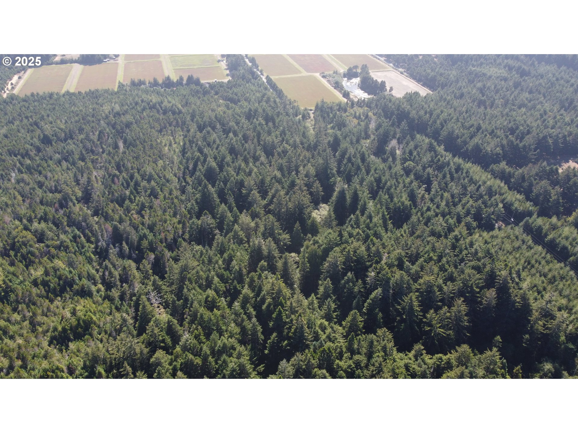 0 Laurel Road, Unit 2000 Bandon, OR 97411 - Photo 7 of 13