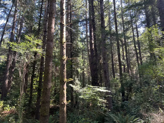 $759,000 | 0 Laurel Road, Unit 2000, Bandon, OR 97411