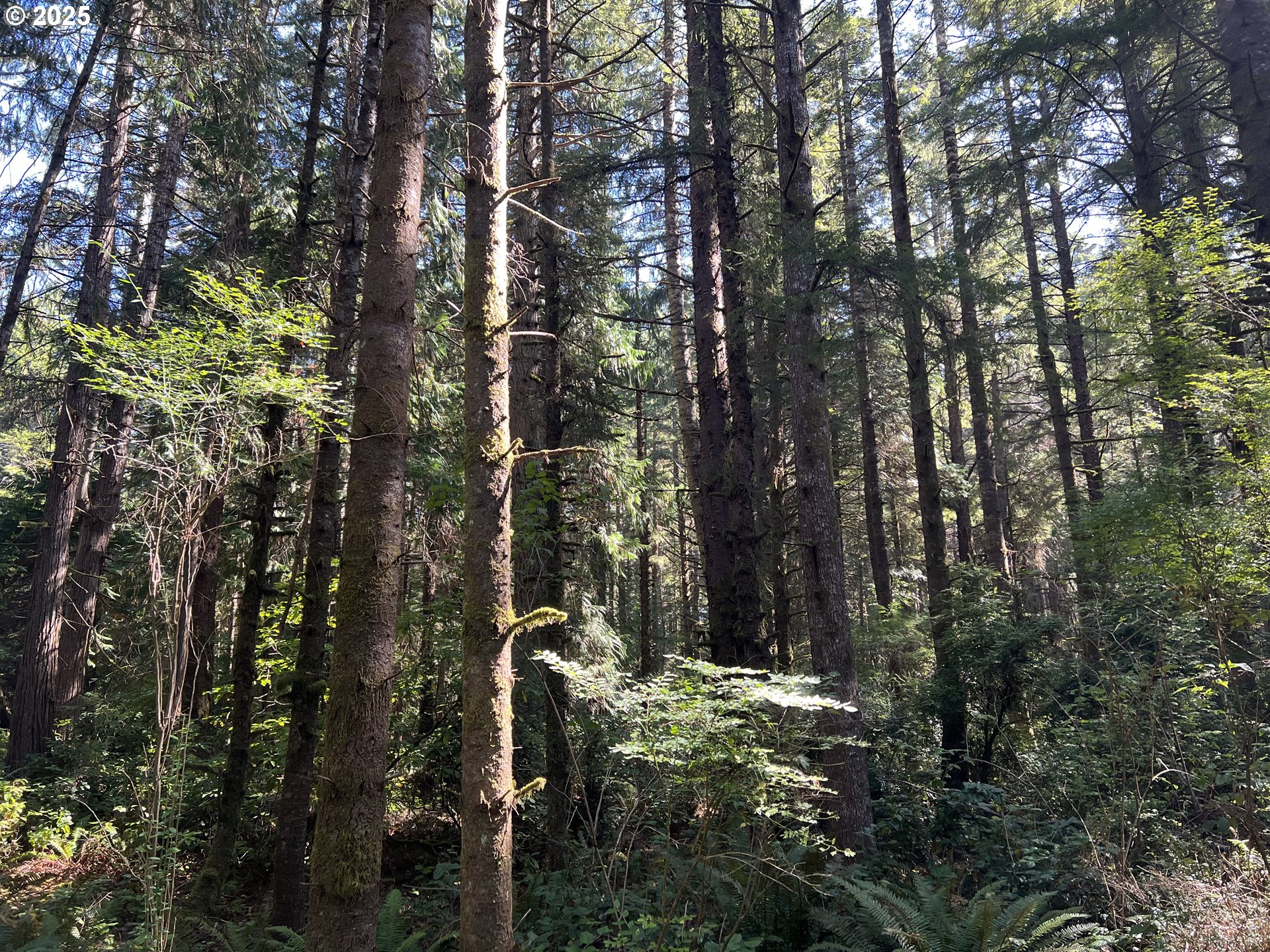 0 Laurel Road, Unit 2000 Bandon, OR 97411 - Photo 8 of 13