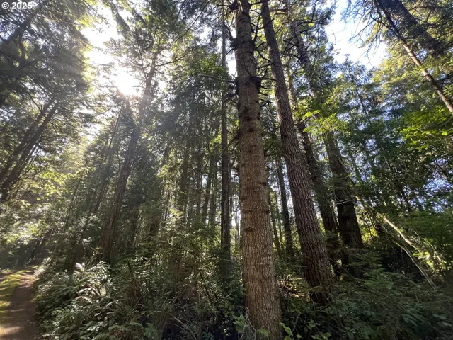 $759,000 | 0 Laurel Road, Unit 2000, Bandon, OR 97411