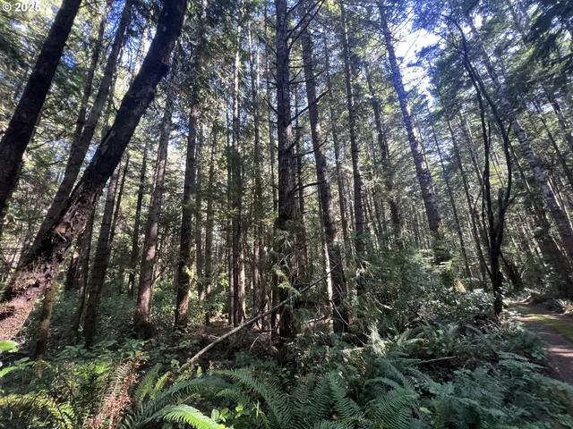 $759,000 | 0 Laurel Road, Unit 2000, Bandon, OR 97411