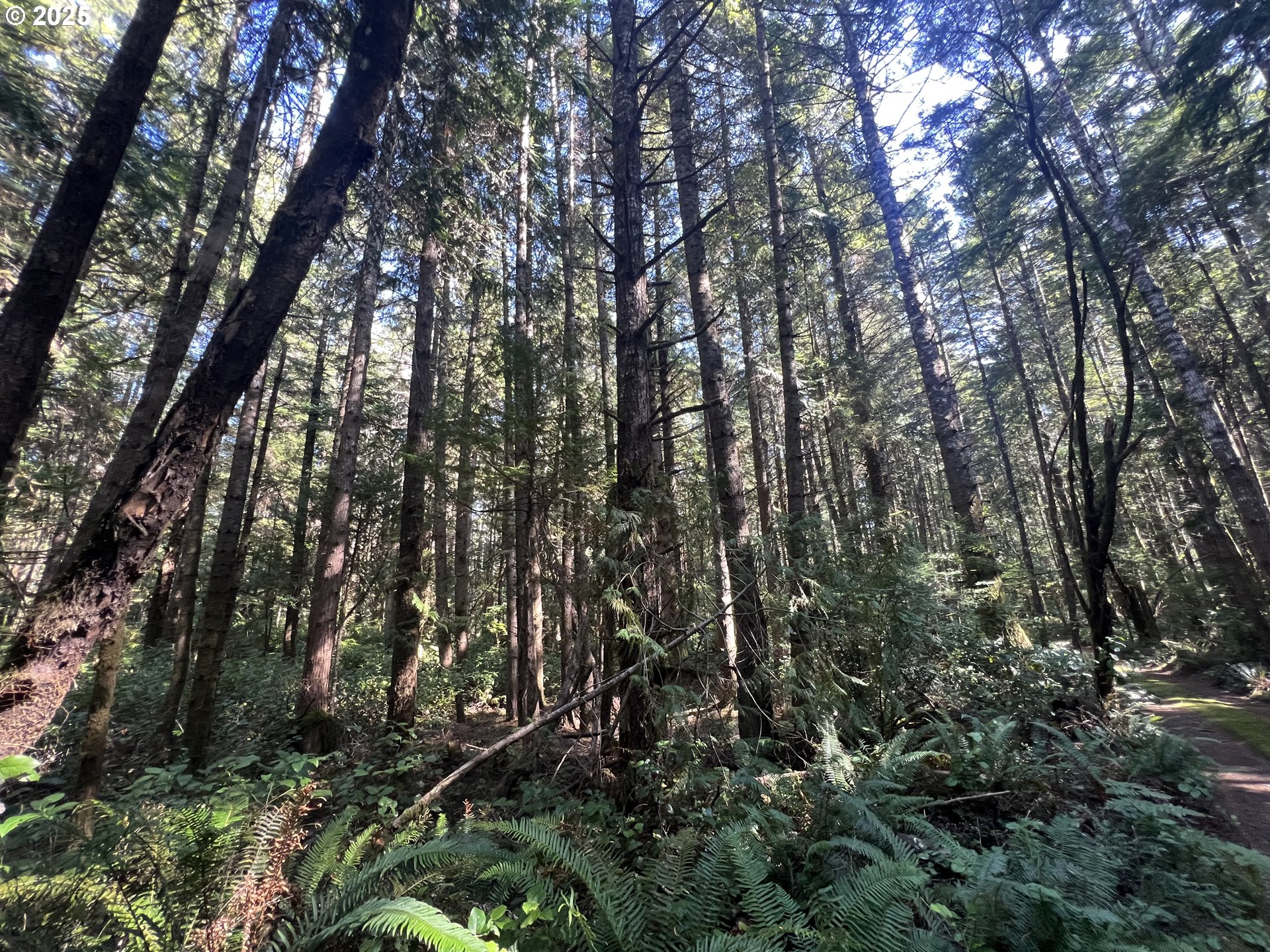 0 Laurel Road, Unit 2000 Bandon, OR 97411 - Photo 10 of 13