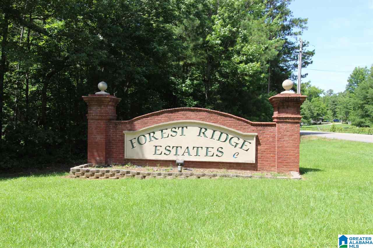 224 Forest Ridge Drive Jacksonville, AL 36265 - Photo 34 of 36