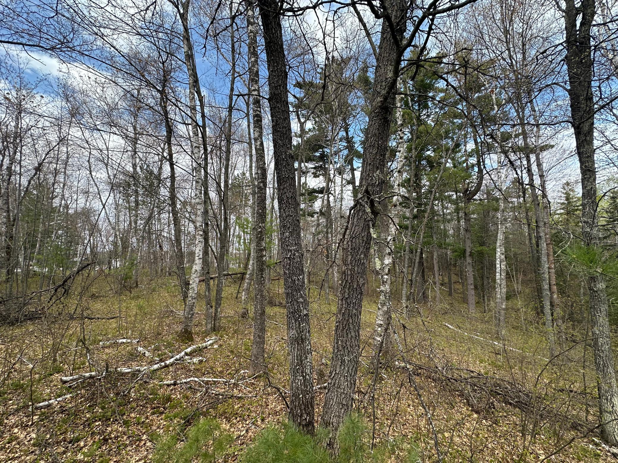 Tbd Dobosenski Road Sturgeon Lake, MN 55783 - Photo 14 of 22