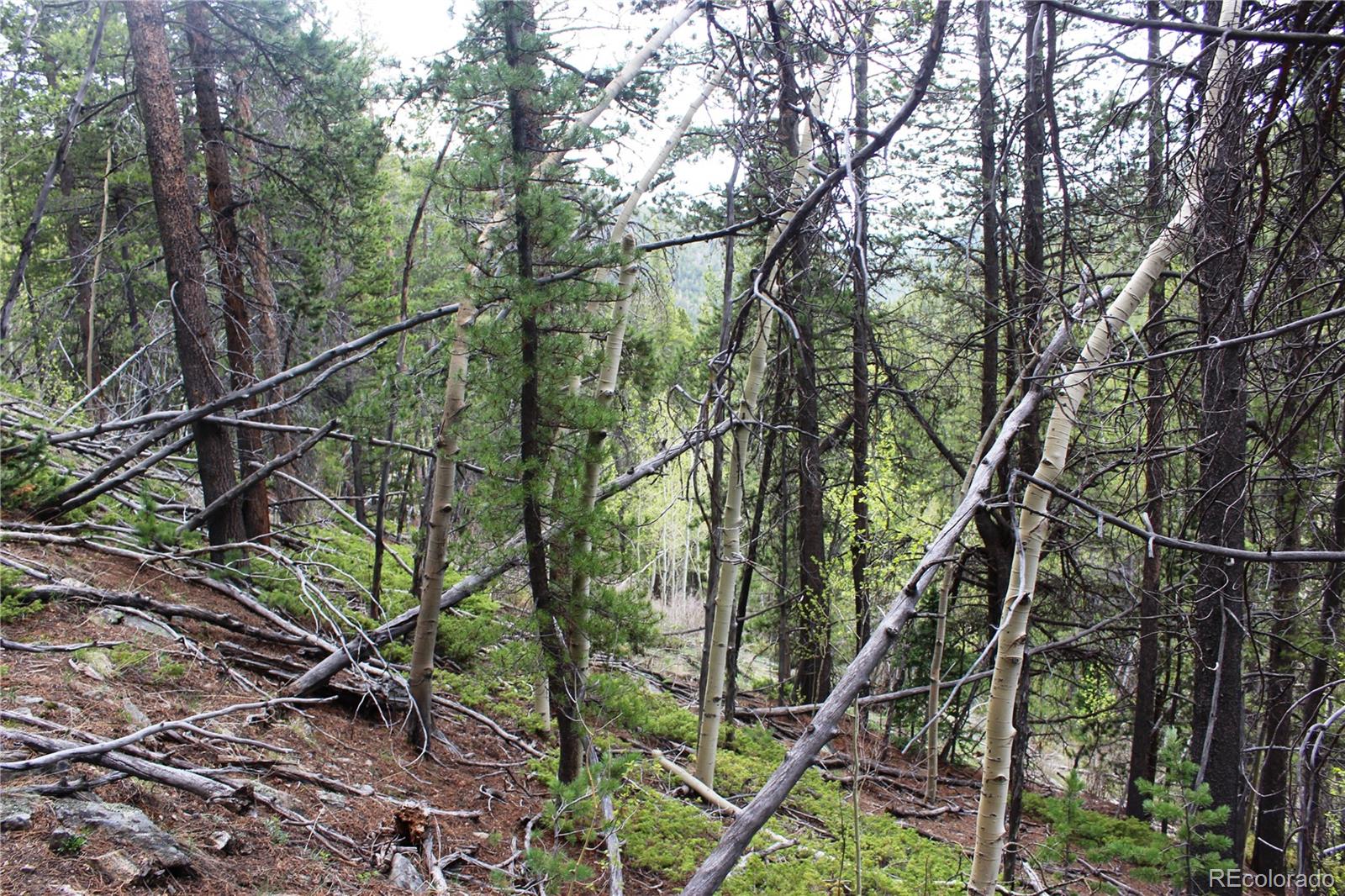 1 Broomfeild Gulch Road Idaho Springs, CO 80452 - Photo 13 of 31 Gallery Image 13