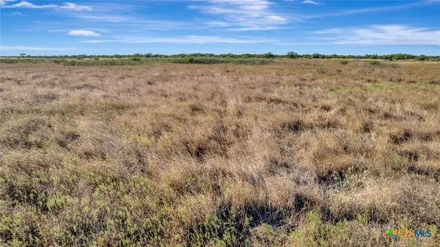 a view of a beach and ocean