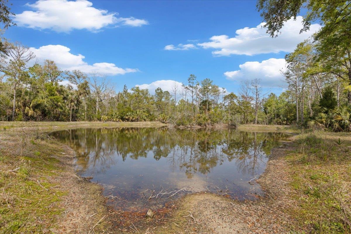 0 Northwest Roys Road Steinhatchee, FL 32359 - Photo 51 of 70