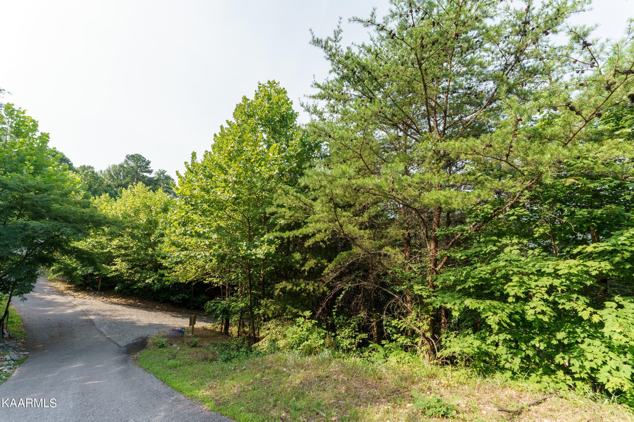 6 Eagle Pointe Way Pigeon Forge, TN 37863 - Photo 2 of 7