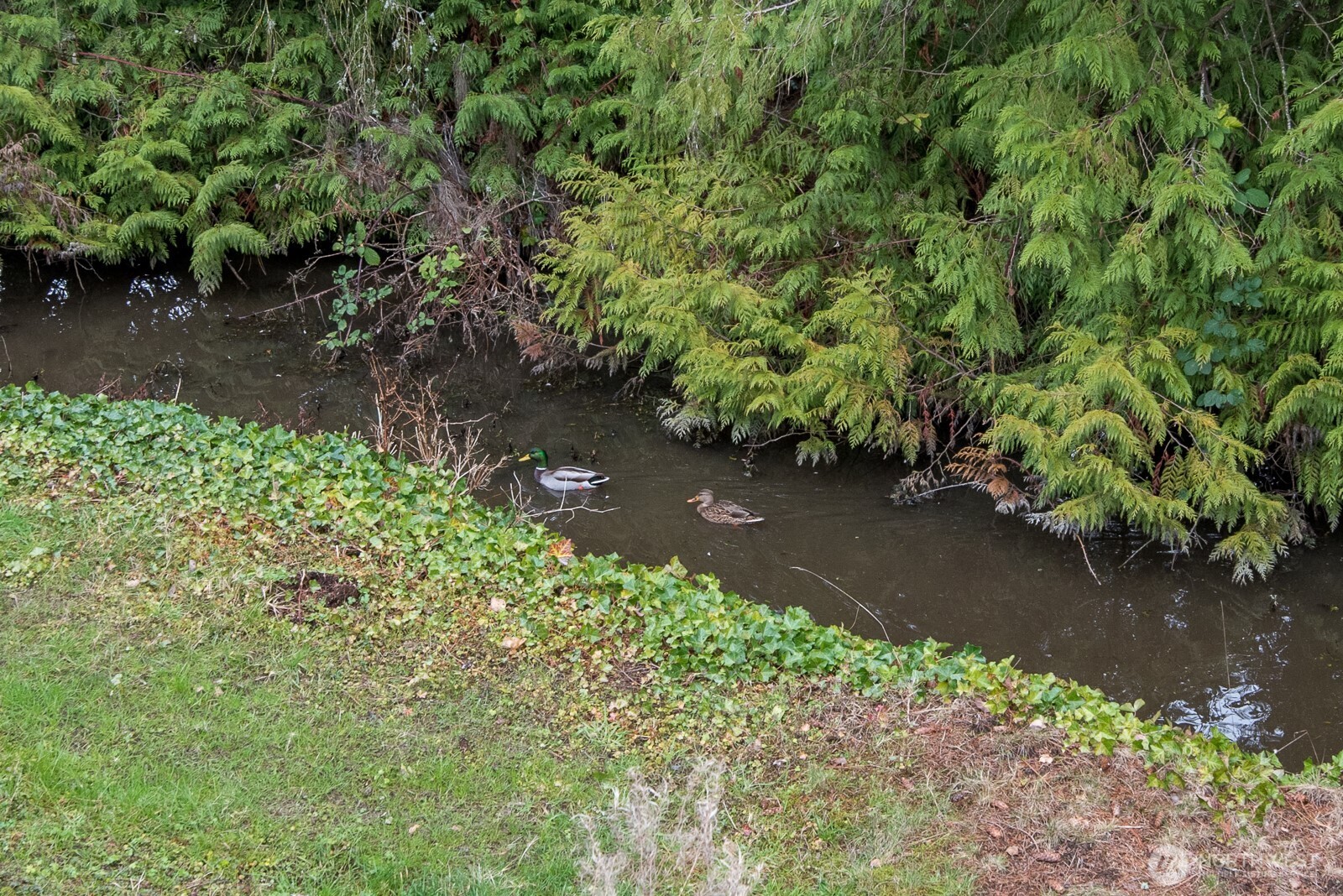 1725 242nd Street Southeast, Unit 203 Bothell, WA 98021 - Photo 24 of 27