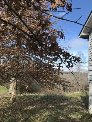 366 Murphy Ridge Road Stearns, KY 42647 - Photo 24 of 24 IMG_8689