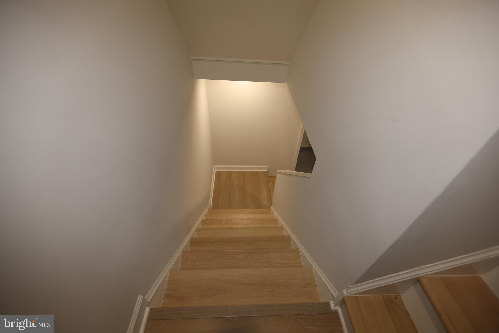 8580 Tyrolean Way Springfield, VA 22153 - Photo 37 of 63 Stair to the basement