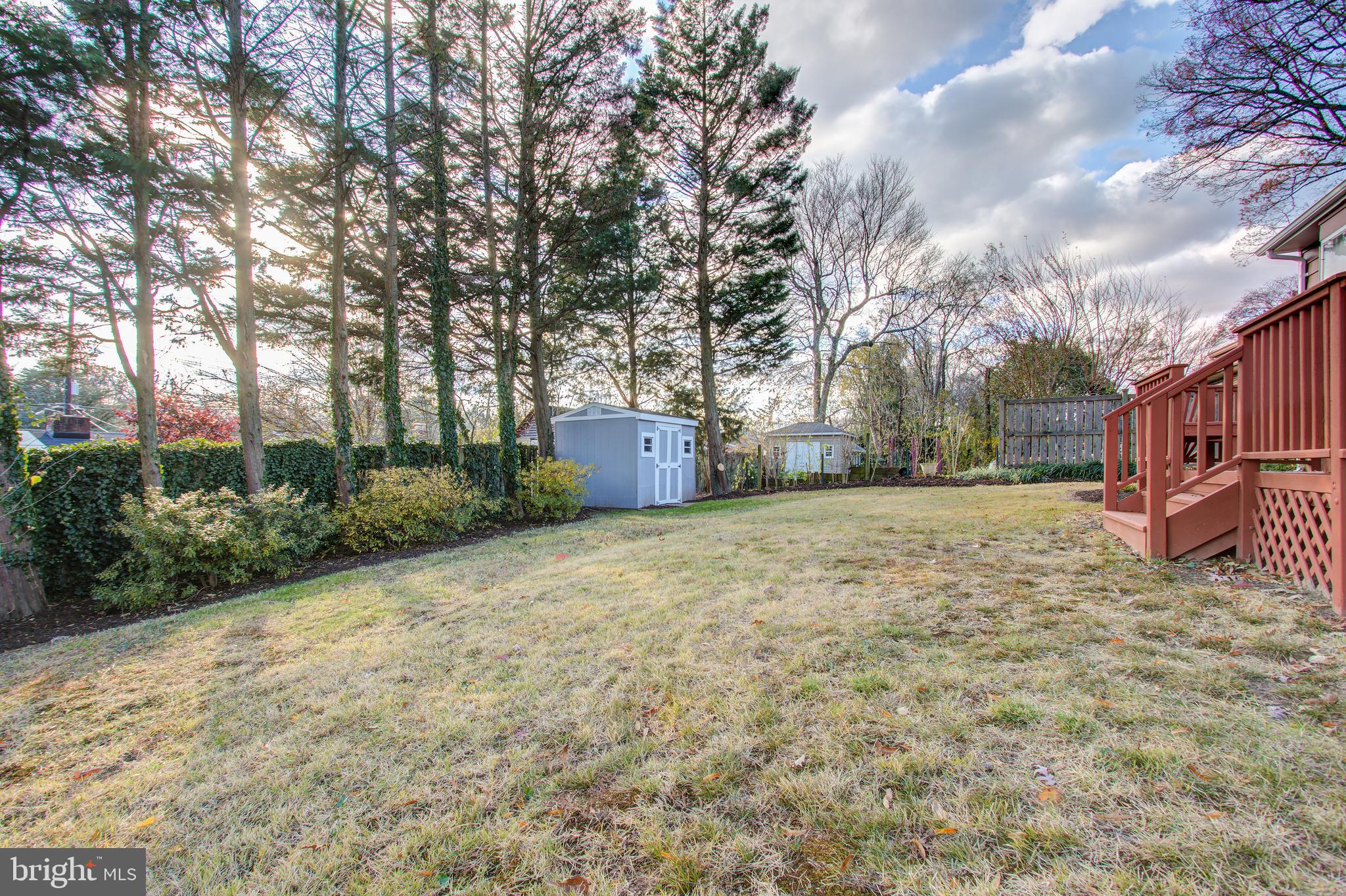 1004 Stirling Road Silver Spring, MD 20901 - Photo 27 of 27 a backyard of a house with lots of green space