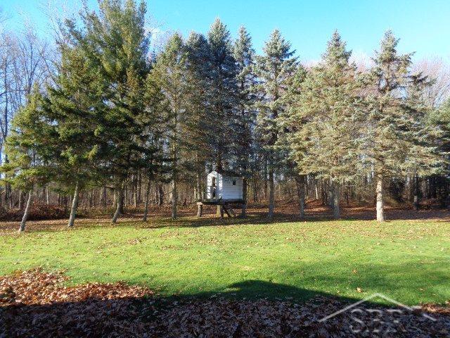 16540 Lunney Road Hemlock, MI 48626 - Photo 16 of 19