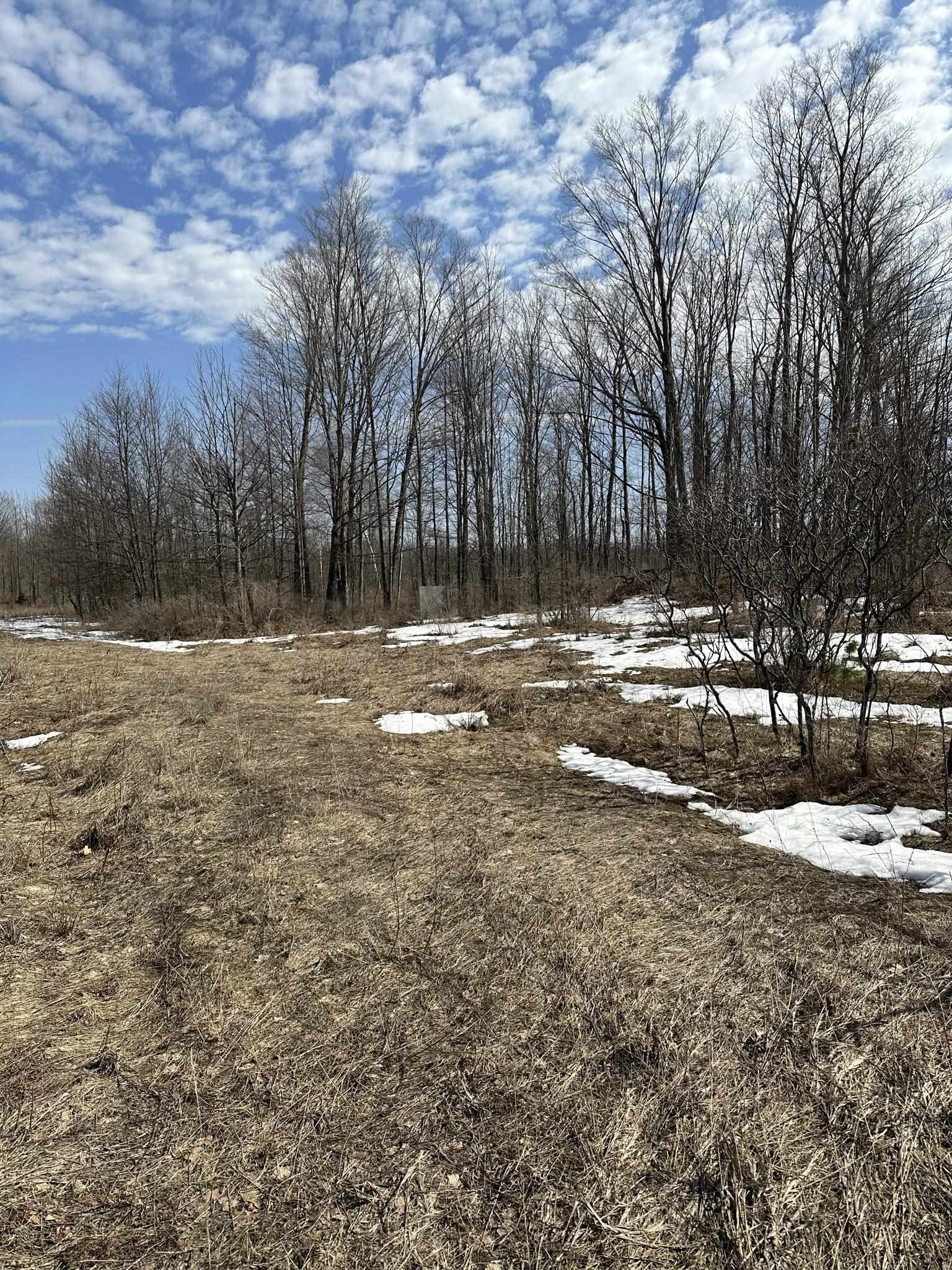 7671 Brady Road Onaway, MI 49765 - Photo 24 of 25 Gallery Image 24