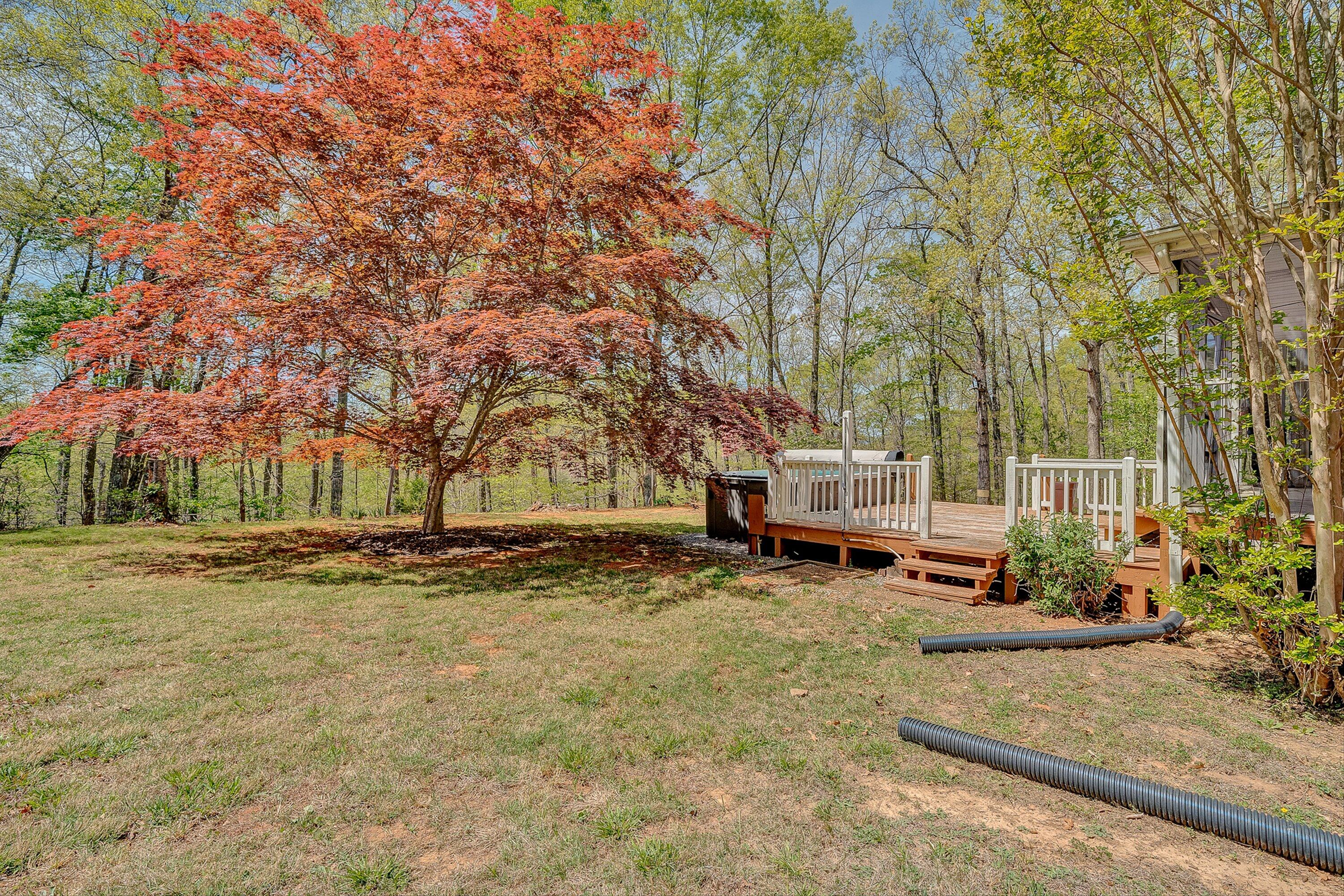 2674 Pico Road Buchanan, VA 24066 - Photo 34 of 59 35-VM-02565