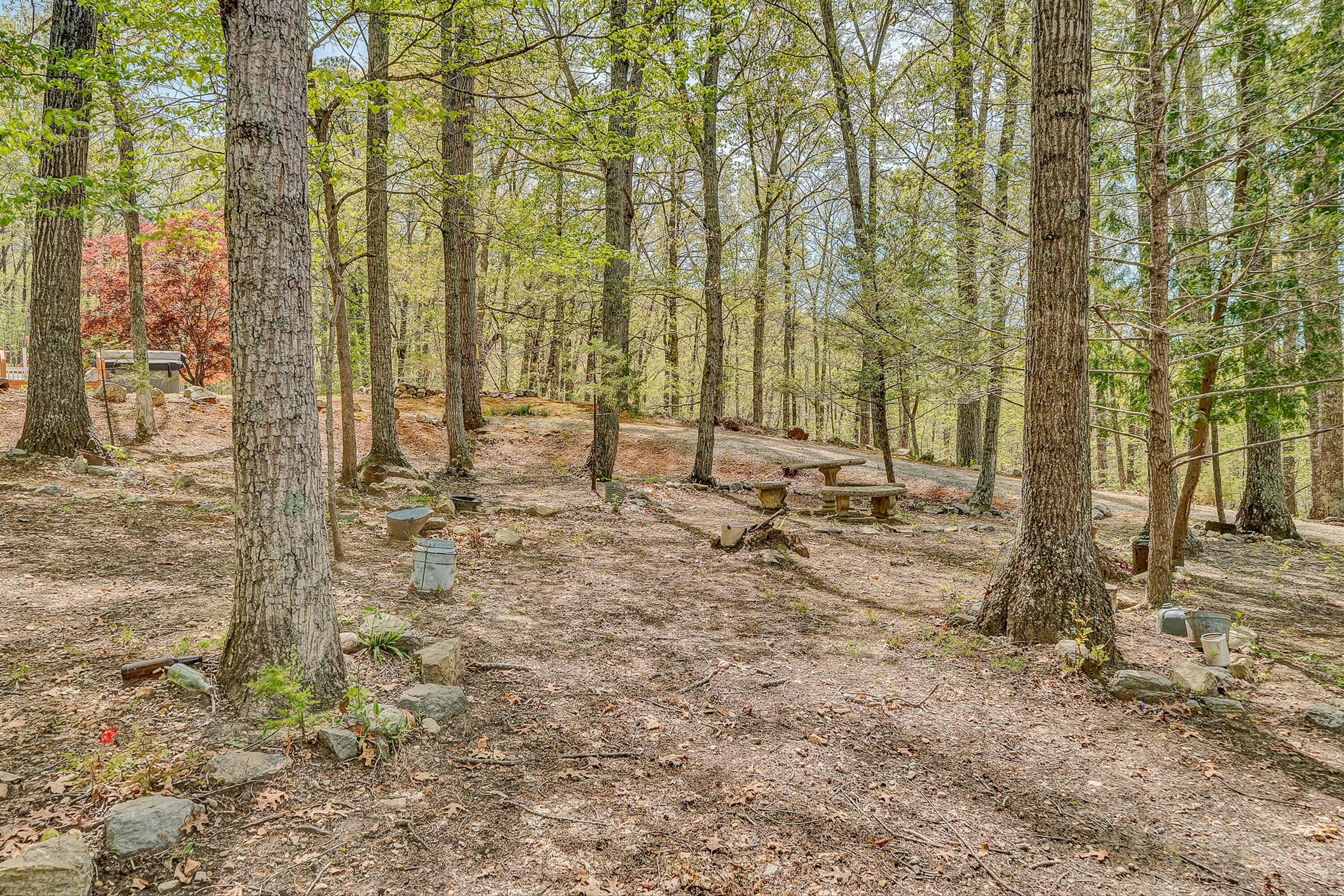 2674 Pico Road Buchanan, VA 24066 - Photo 42 of 59 43-VM-02586