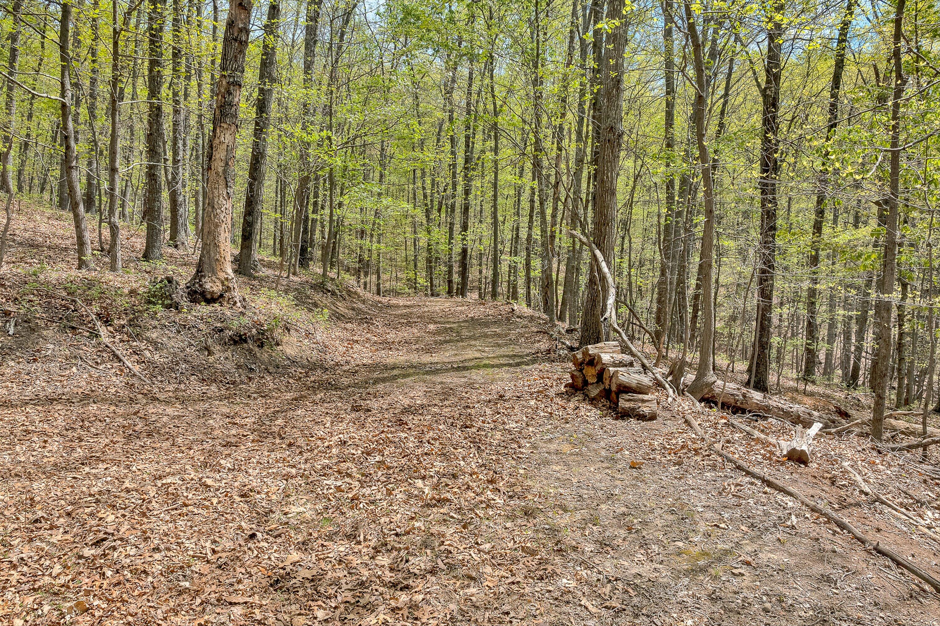 2674 Pico Road Buchanan, VA 24066 - Photo 43 of 59 44-VM-0100