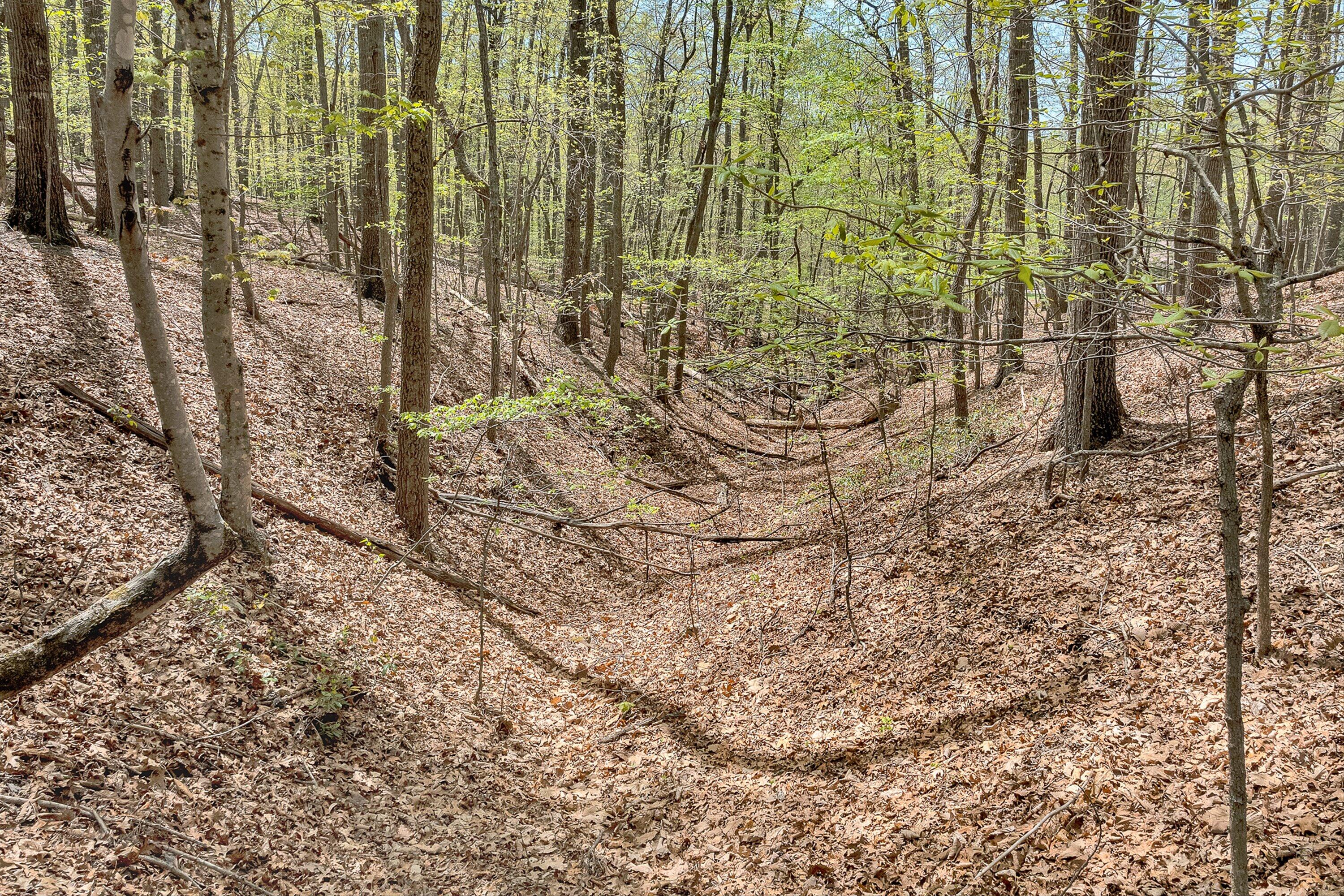 2674 Pico Road Buchanan, VA 24066 - Photo 44 of 59 45-VM-0103