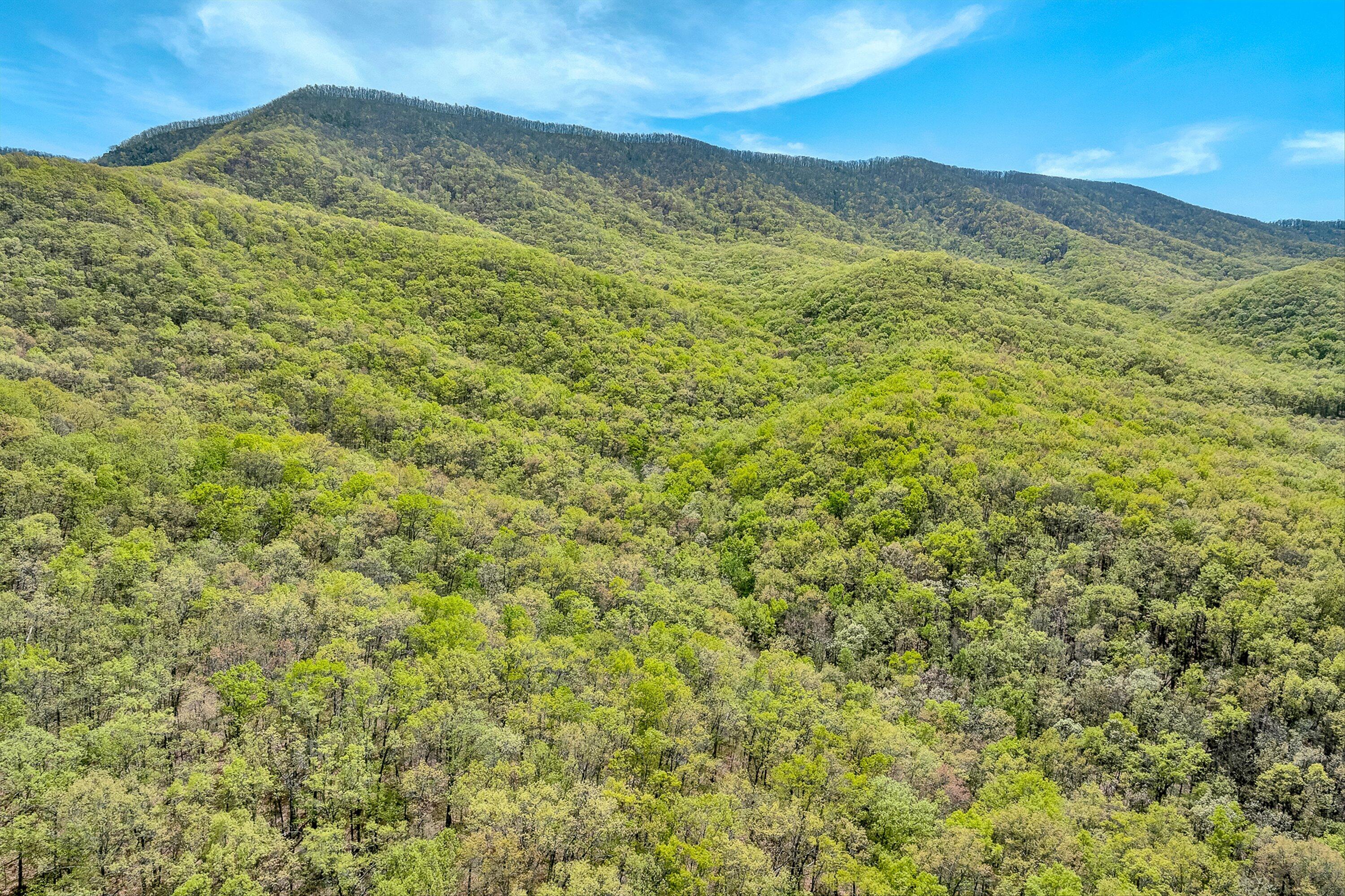 2674 Pico Road Buchanan, VA 24066 - Photo 47 of 59 48-VM-0065