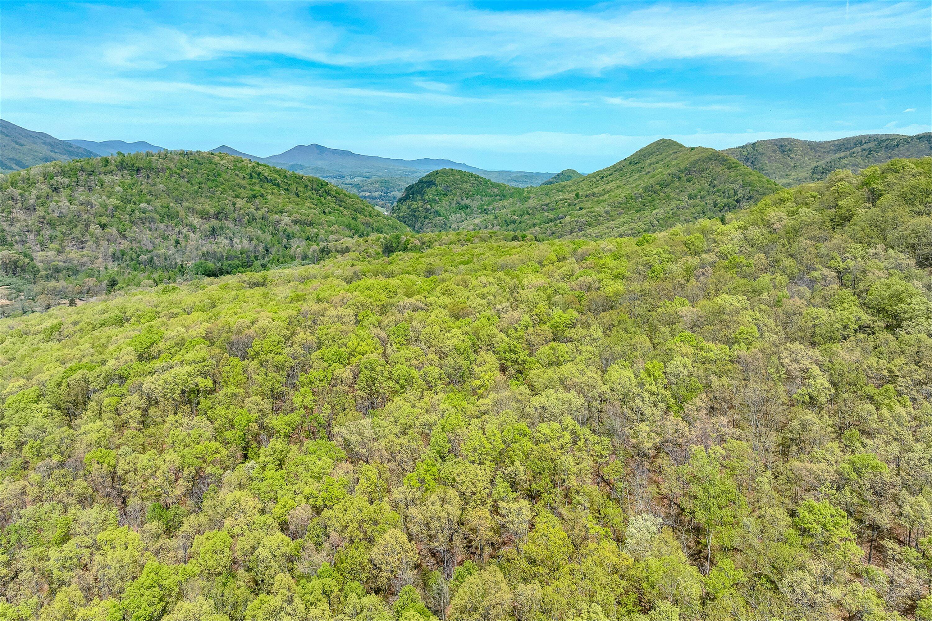 2674 Pico Road Buchanan, VA 24066 - Photo 48 of 59 49-VM-0068