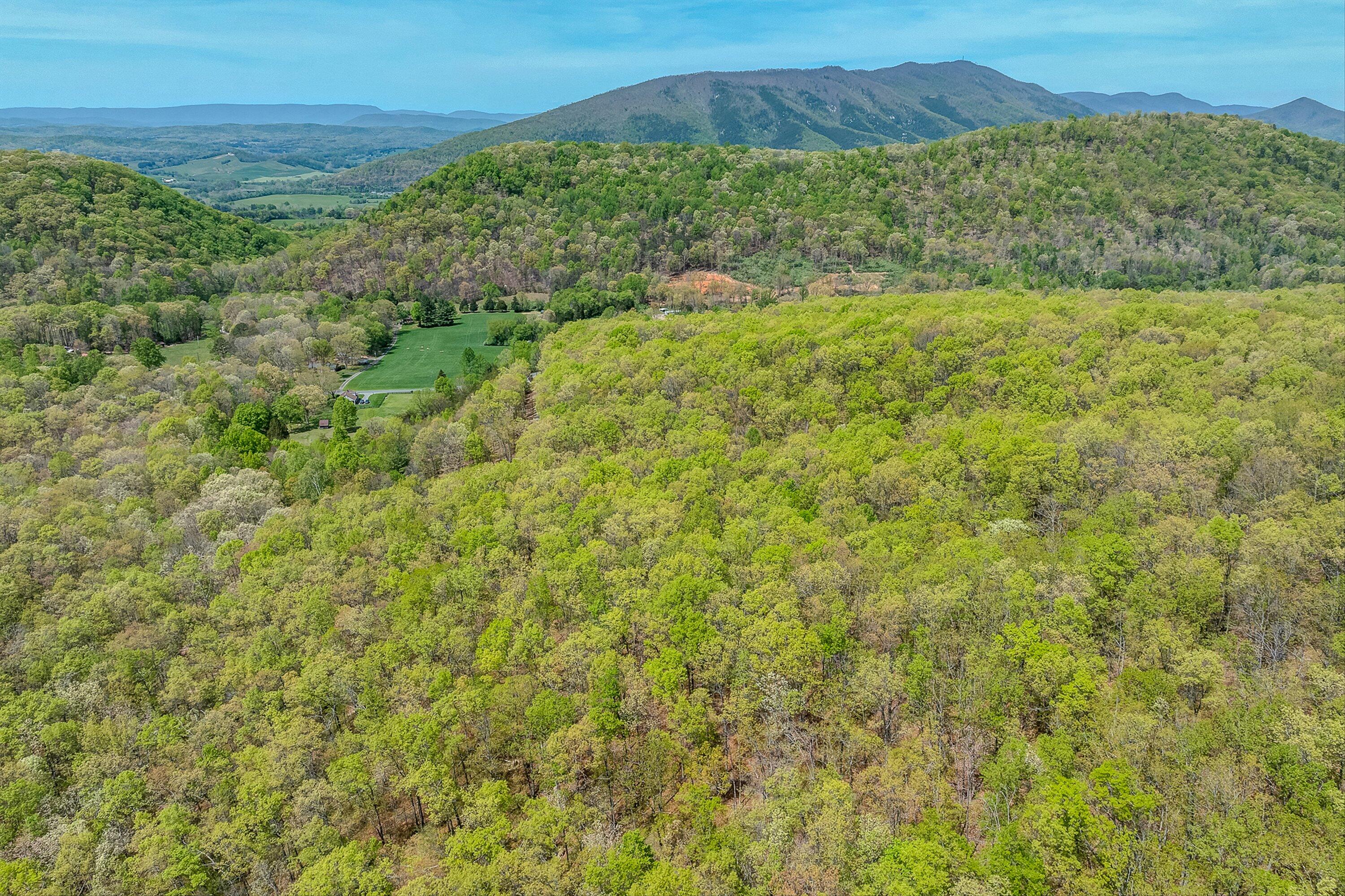 2674 Pico Road Buchanan, VA 24066 - Photo 49 of 59 50-VM-0071
