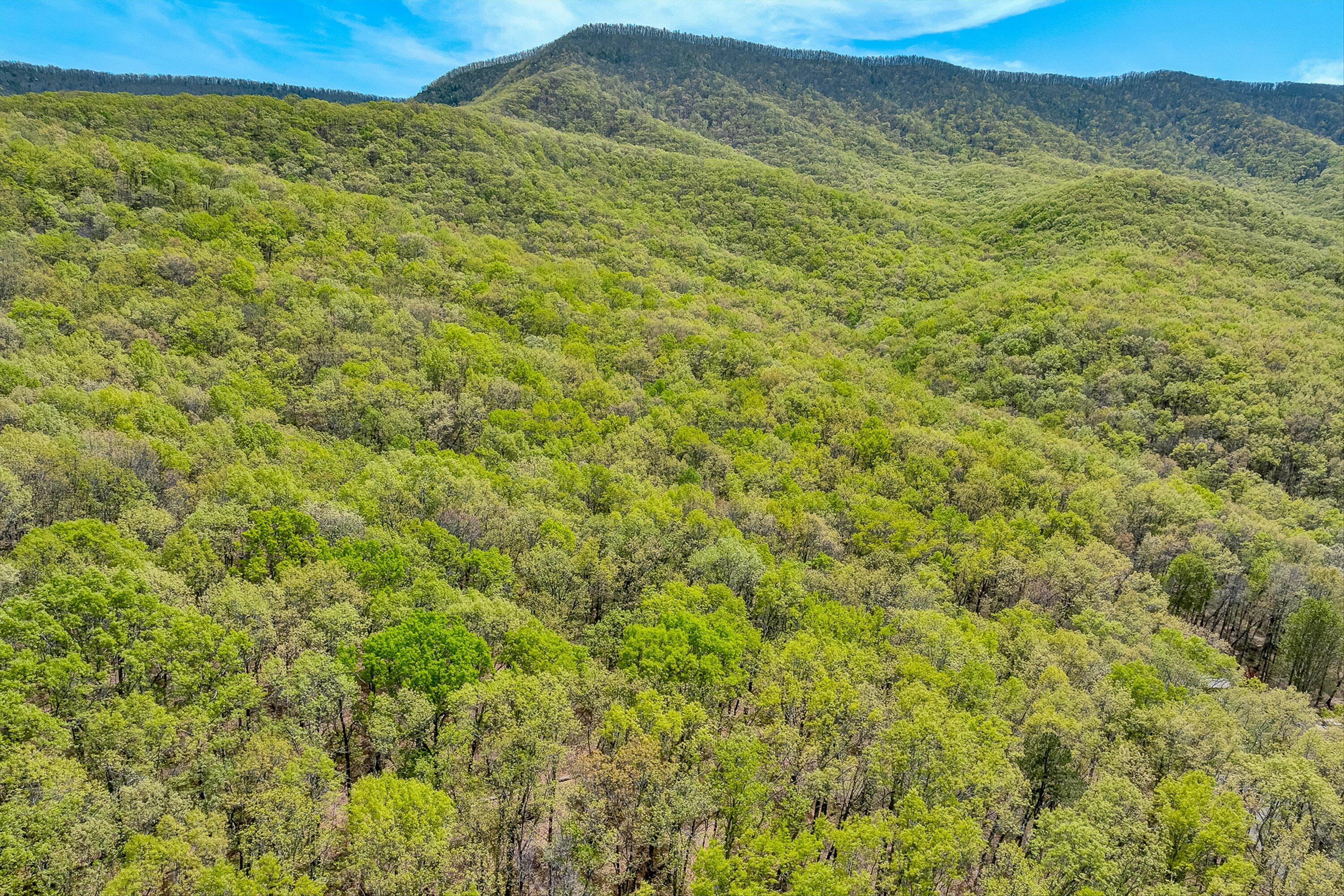 2674 Pico Road Buchanan, VA 24066 - Photo 50 of 59 51-VM-0074