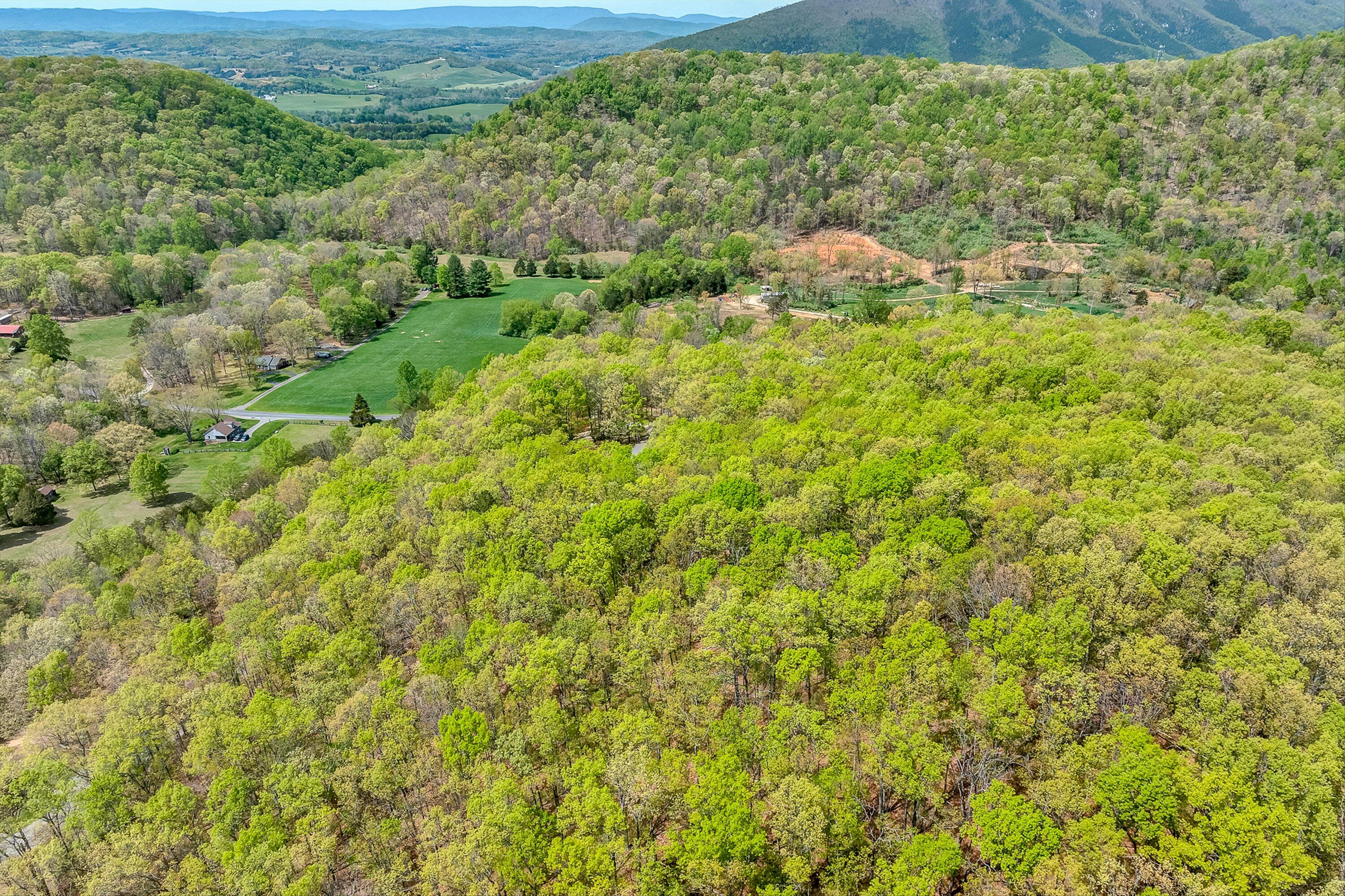2674 Pico Road Buchanan, VA 24066 - Photo 51 of 59 52-VM-0077