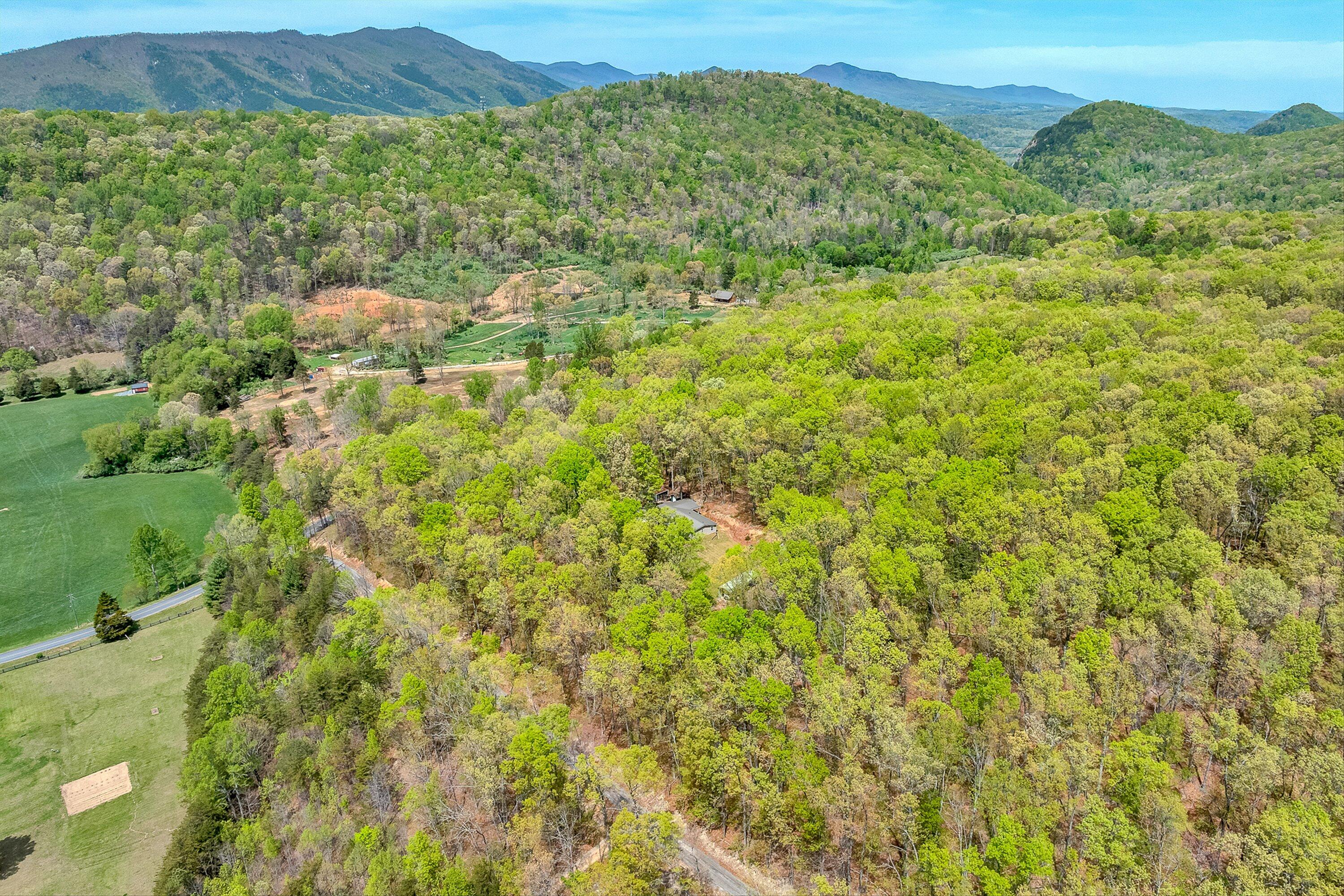 2674 Pico Road Buchanan, VA 24066 - Photo 52 of 59 53-VM-0080