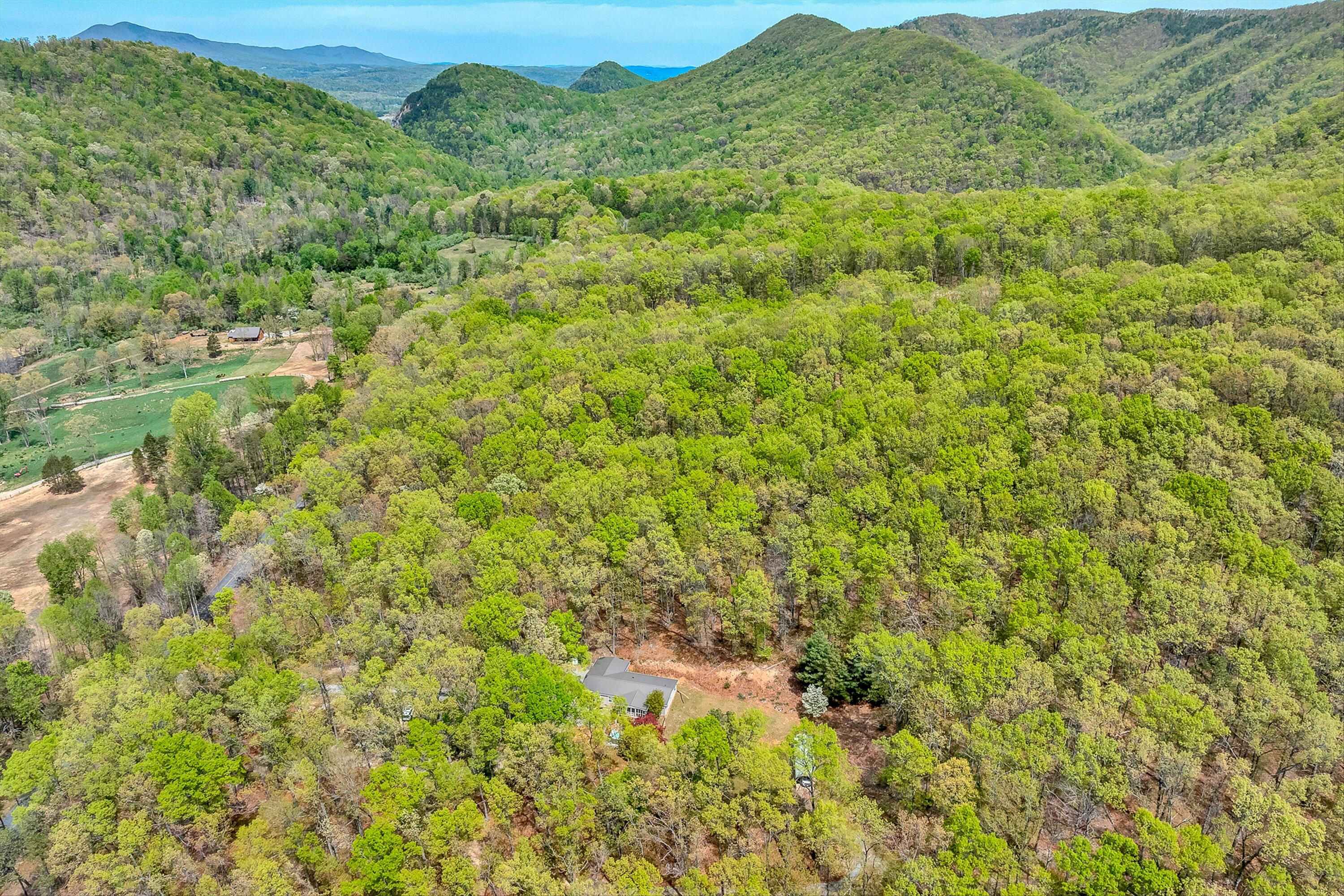 2674 Pico Road Buchanan, VA 24066 - Photo 53 of 59 54-VM-0083