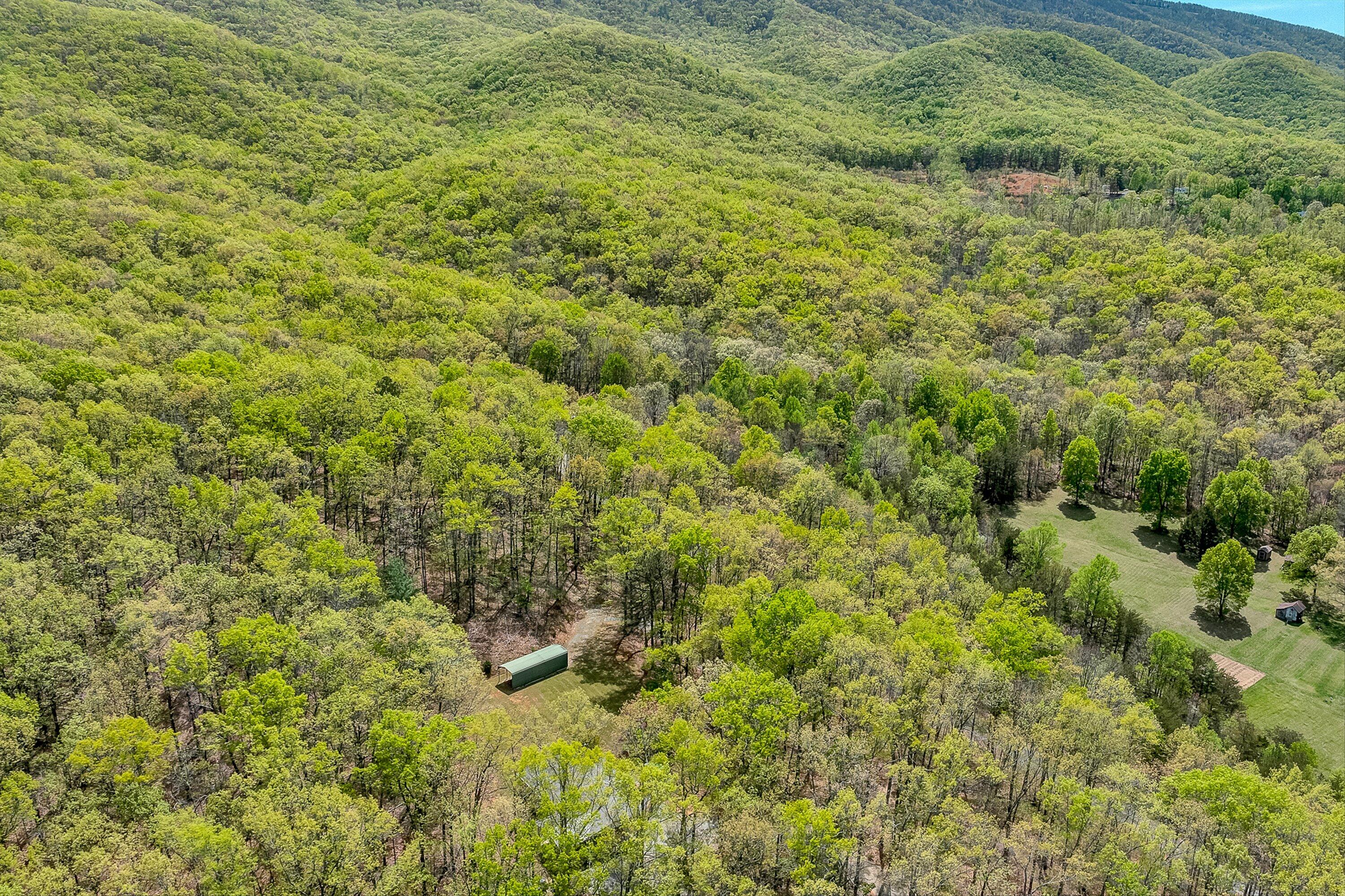 2674 Pico Road Buchanan, VA 24066 - Photo 54 of 59 55-VM-0092