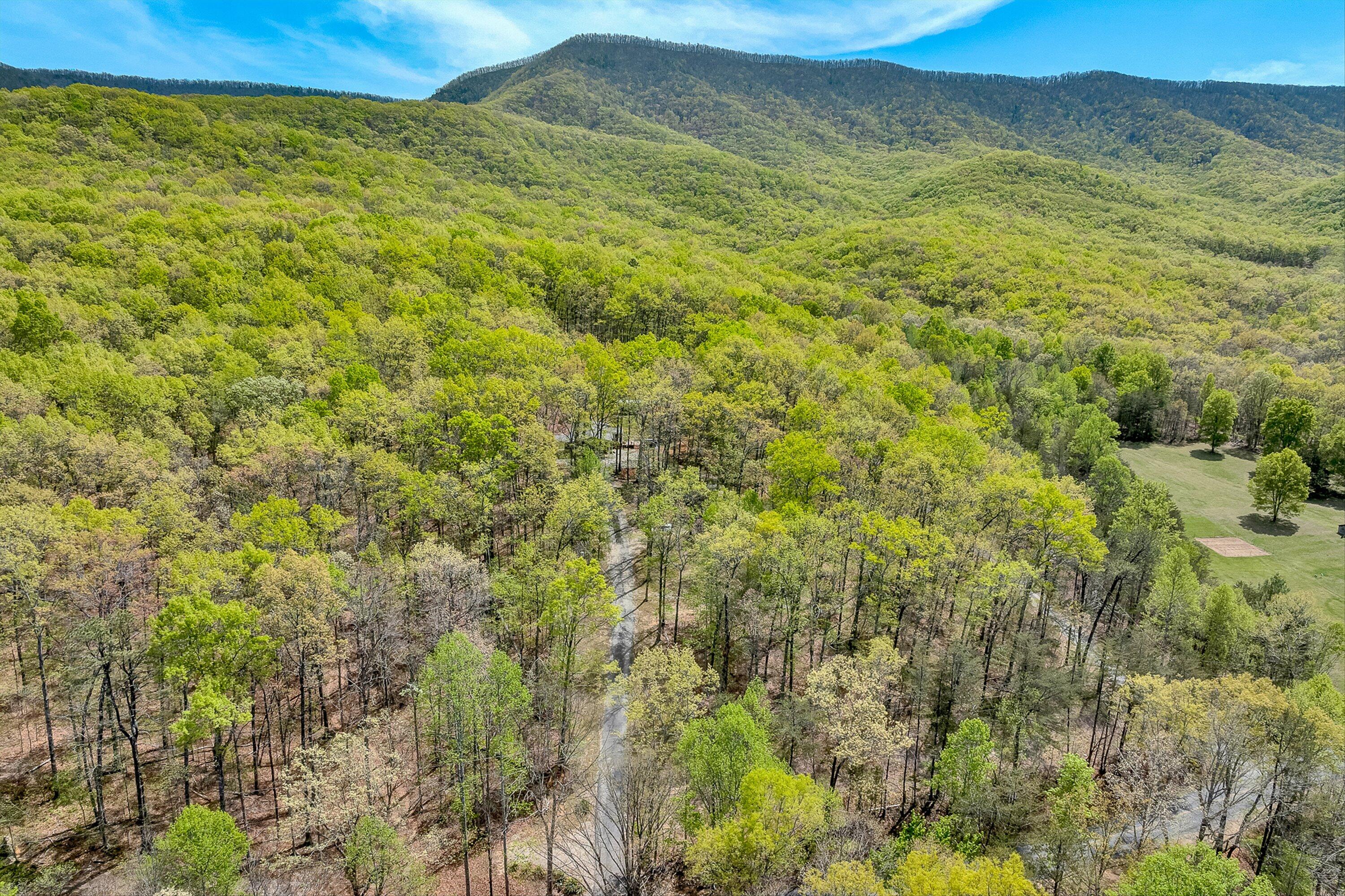 2674 Pico Road Buchanan, VA 24066 - Photo 55 of 59 56-VM-0089