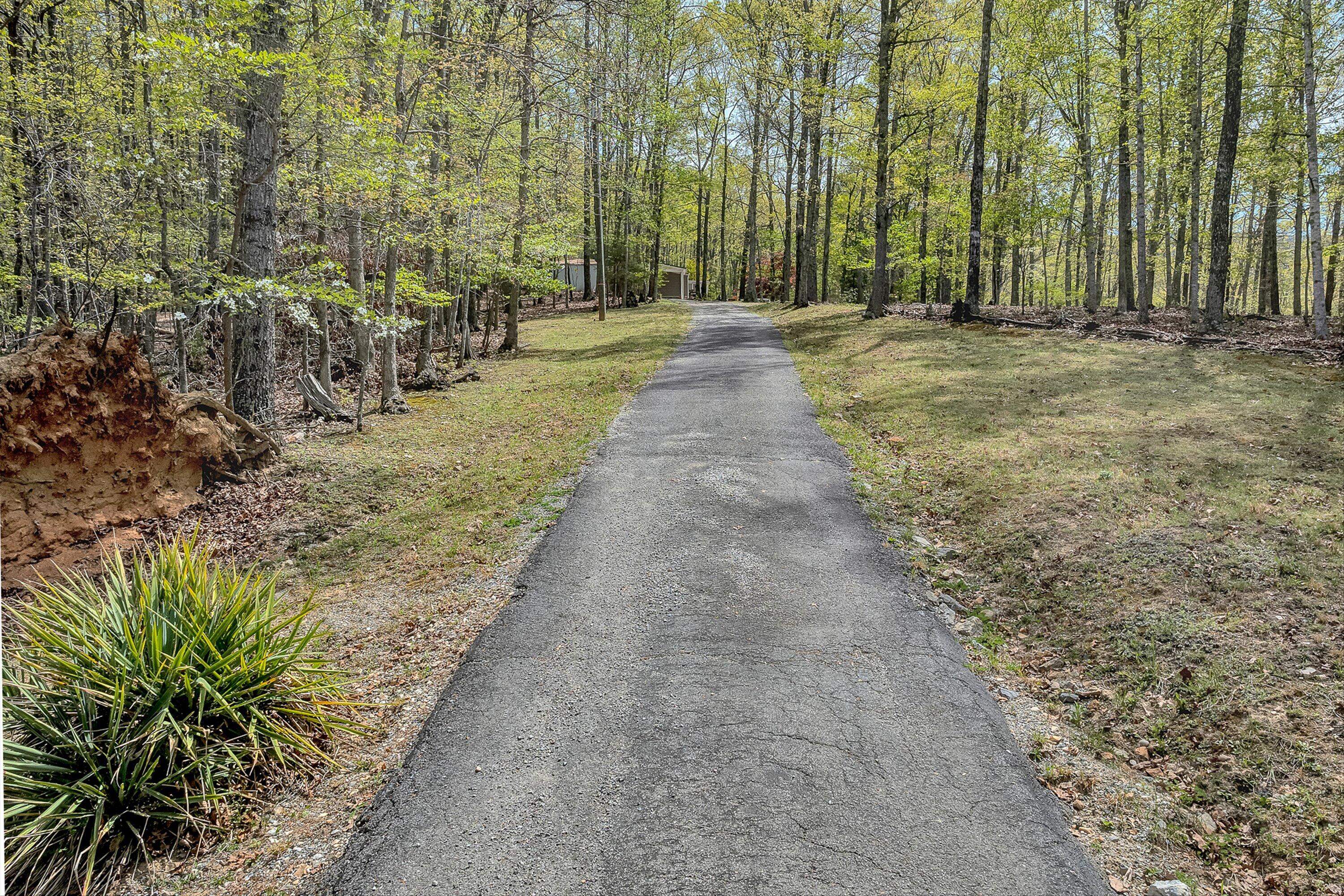 2674 Pico Road Buchanan, VA 24066 - Photo 57 of 59 58-VM-0050