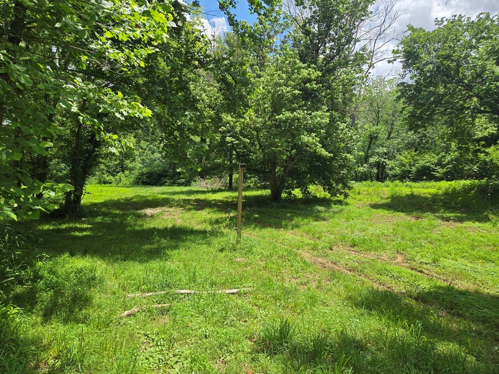 56 James River Road Wingina, VA 24599 - Photo 12 of 13 Gallery Image 12