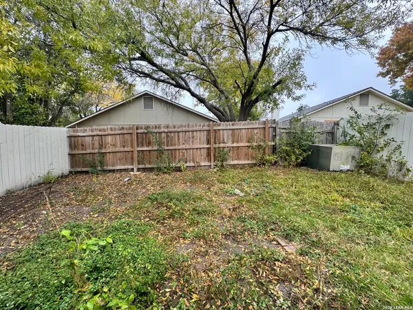 a view of a backyard with plants and large tree