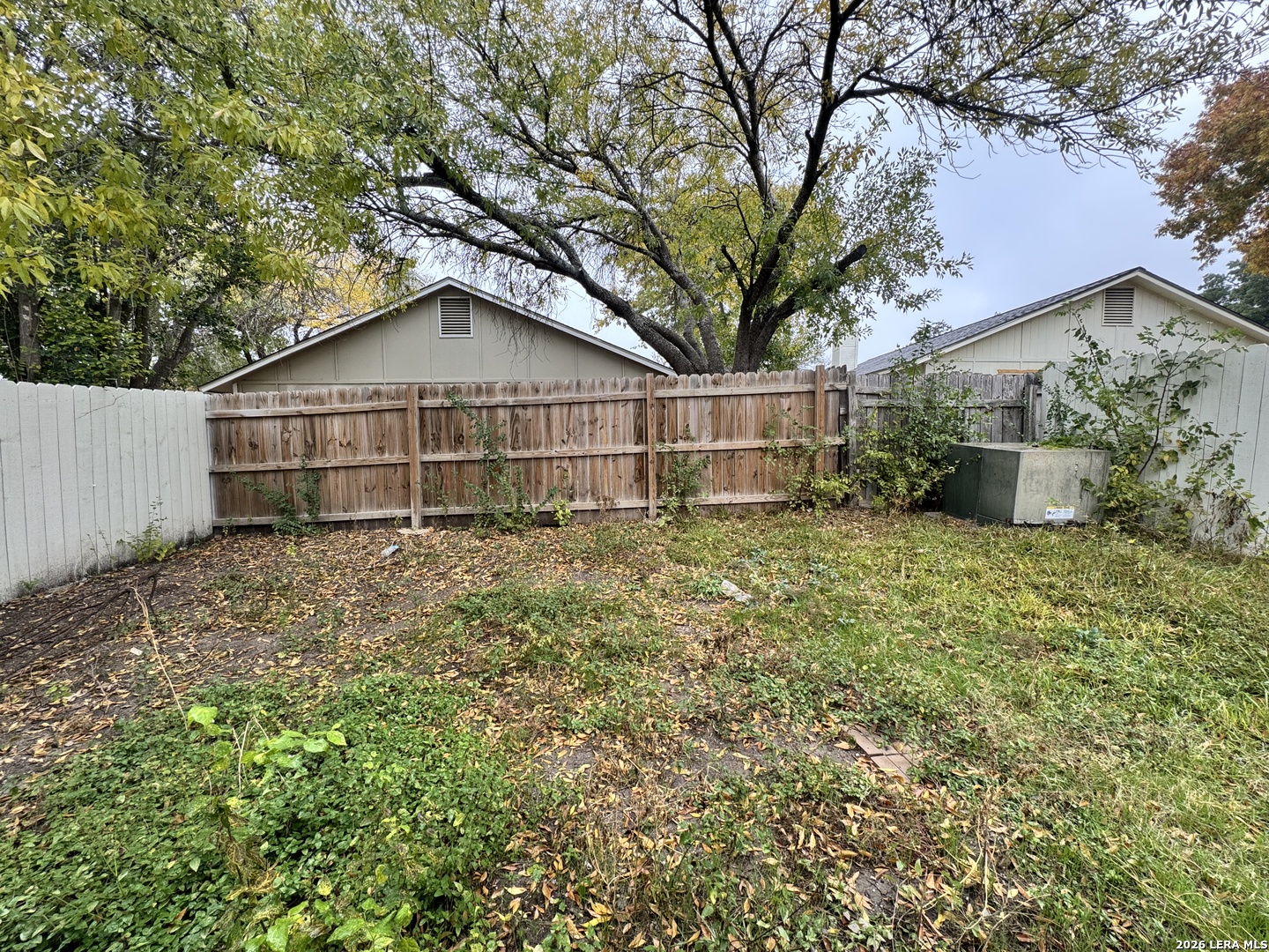 12219 Ridge Crown Street San Antonio, TX 78247 - Photo 16 of 17 a view of a backyard with plants and large tree