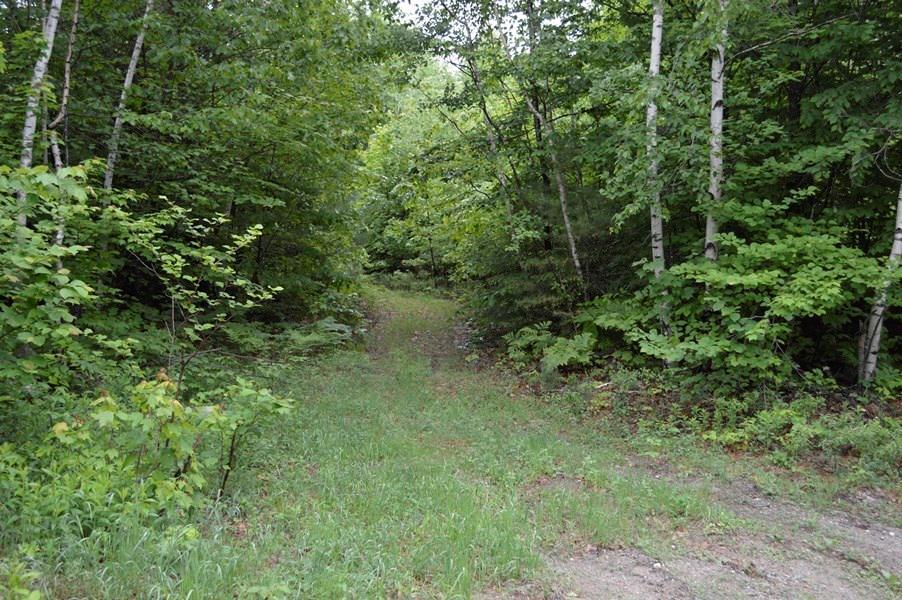 Lot 59 North Shore Road Gray, ME 04039 - Photo 8 of 22 Trail leading into the land