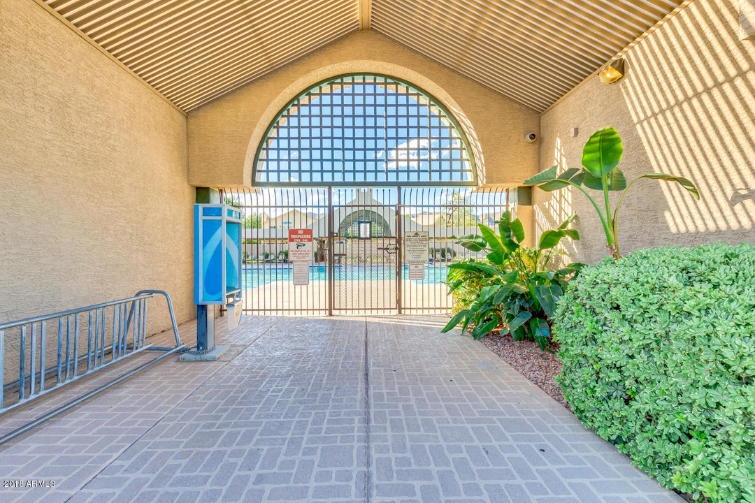 2514 East Rockledge Road Phoenix, AZ 85048 - Photo 50 of 50 51-Rockledge