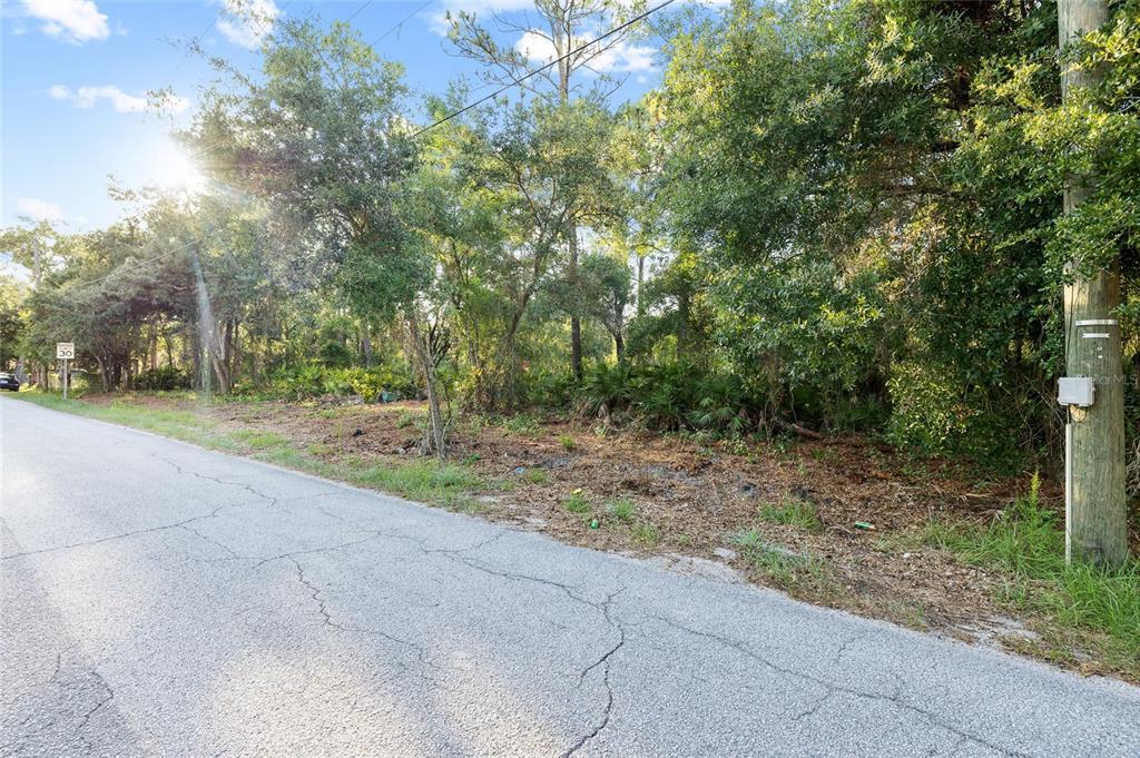 Lake Le Clare Road Lutz, FL 33558 - Photo 15 of 17