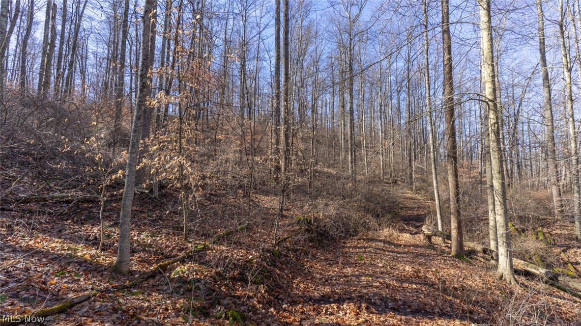 0 Clem Garvin Road Caldwell, OH 43724 - Photo 27 of 50 View of nature