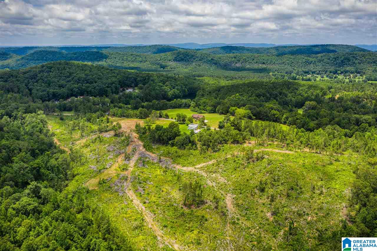 0 Highway 75, Unit 5032 Oneonta, AL 35121 - Photo 18 of 18