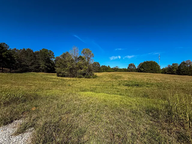 $125,000 | North Estates Drive, Starkville, MS 39759