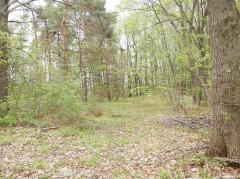 6173 Denton Hill Road Fenton, MI 48430 - Photo 25 of 27 20401502-24.JPG