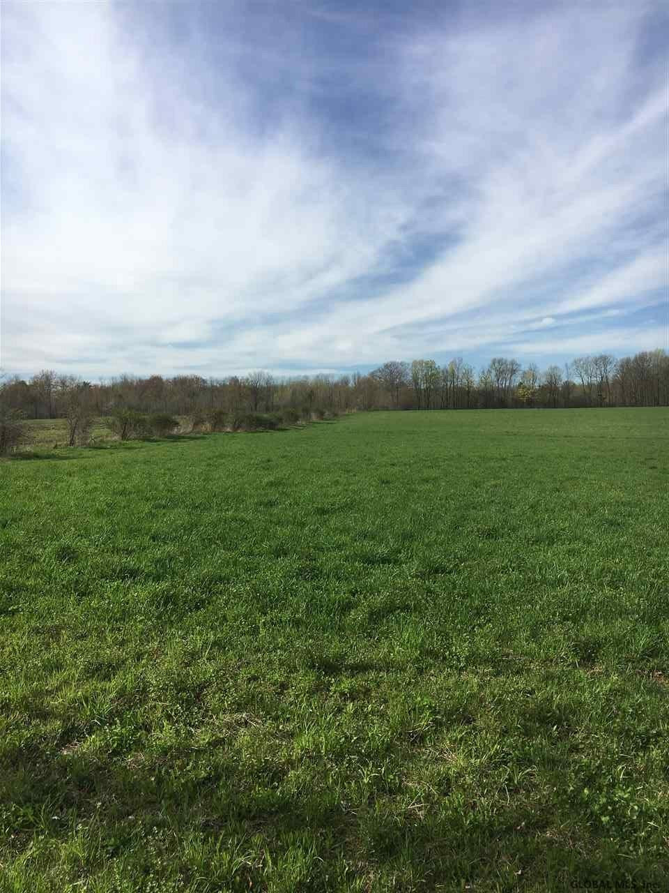 0 Plummer Road Ballston Spa, NY 12020 - Photo 1 of 3 Photo 1