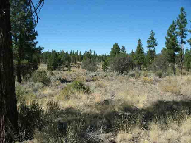0 Sycan Merrill, OR 97633 - Photo 1 of 5 Primary Photo