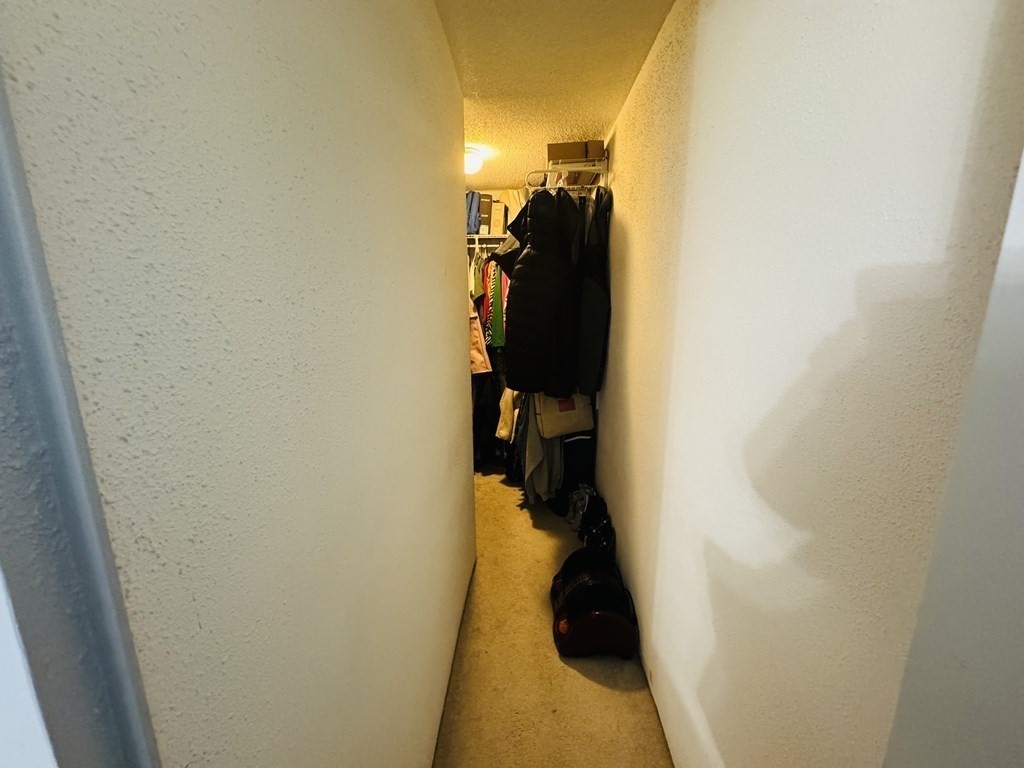 6 Shadowbrook Lane, Unit 59 Milford, MA 01757 - Photo 14 of 25 a view of walk in closet