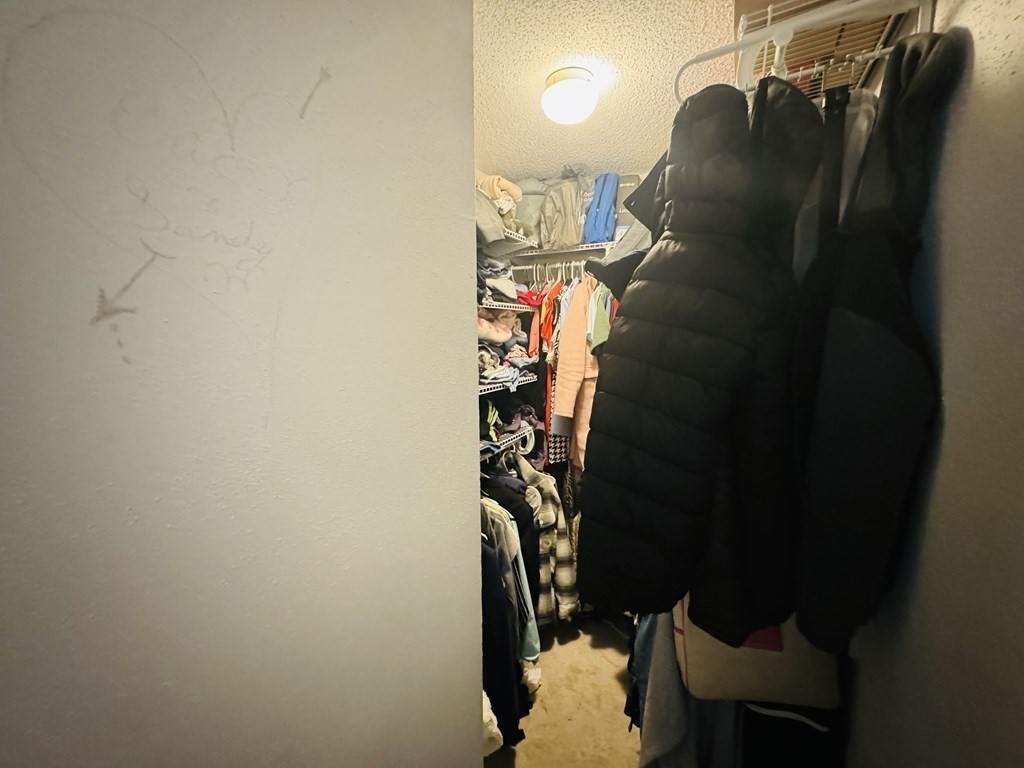 6 Shadowbrook Lane, Unit 59 Milford, MA 01757 - Photo 15 of 25 a view of walk in closet